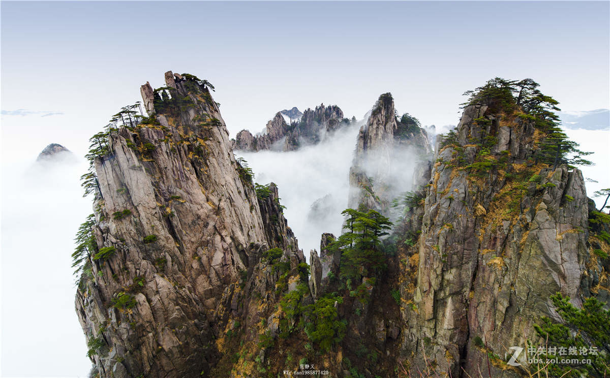 雨后黄山，云里雾里，天上人间！