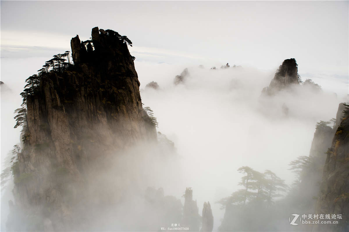 雨后黄山，云里雾里，天上人间！