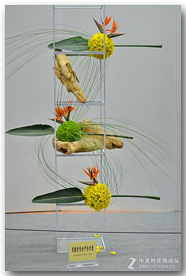 “”菊之韵“”插花艺术展