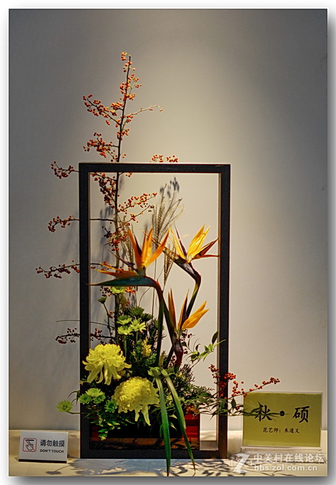 “”菊之韵“”插花艺术展