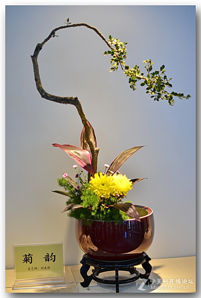 “”菊之韵“”插花艺术展