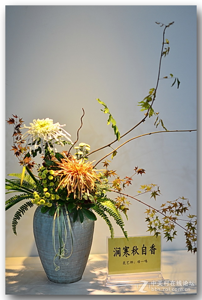 “”菊之韵“”插花艺术展