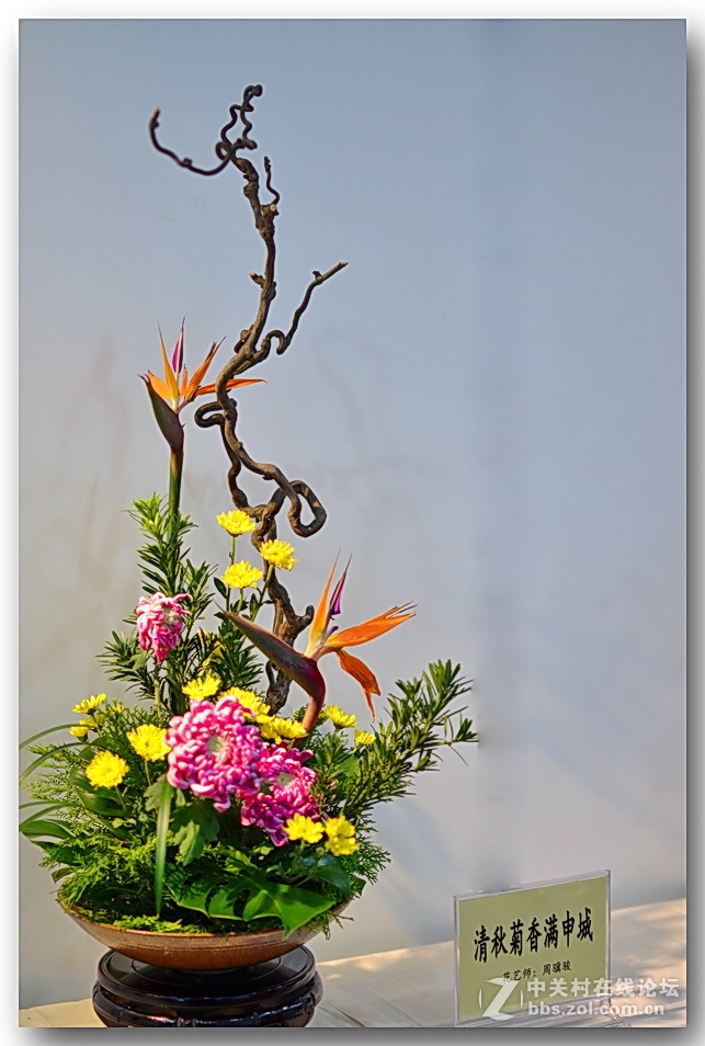 “”菊之韵“”插花艺术展