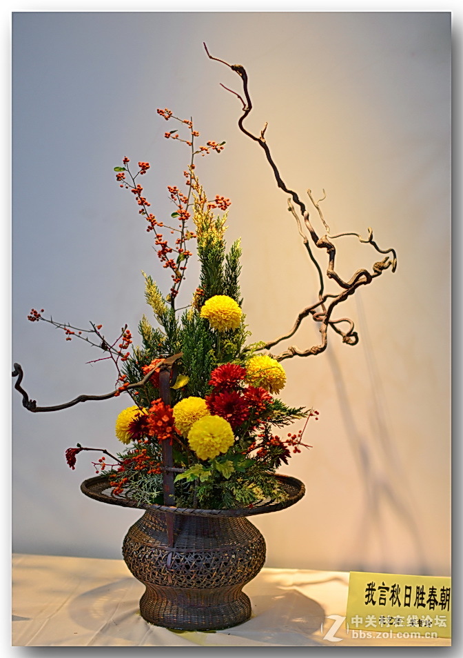 “”菊之韵“”插花艺术展