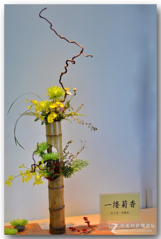 “”菊之韵“”插花艺术展