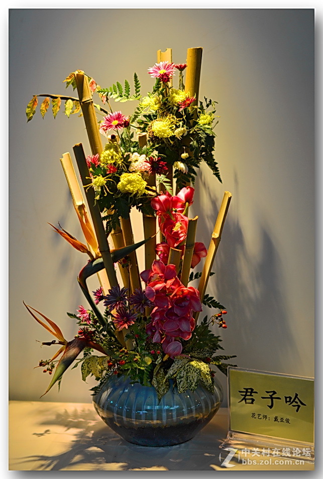 “”菊之韵“”插花艺术展