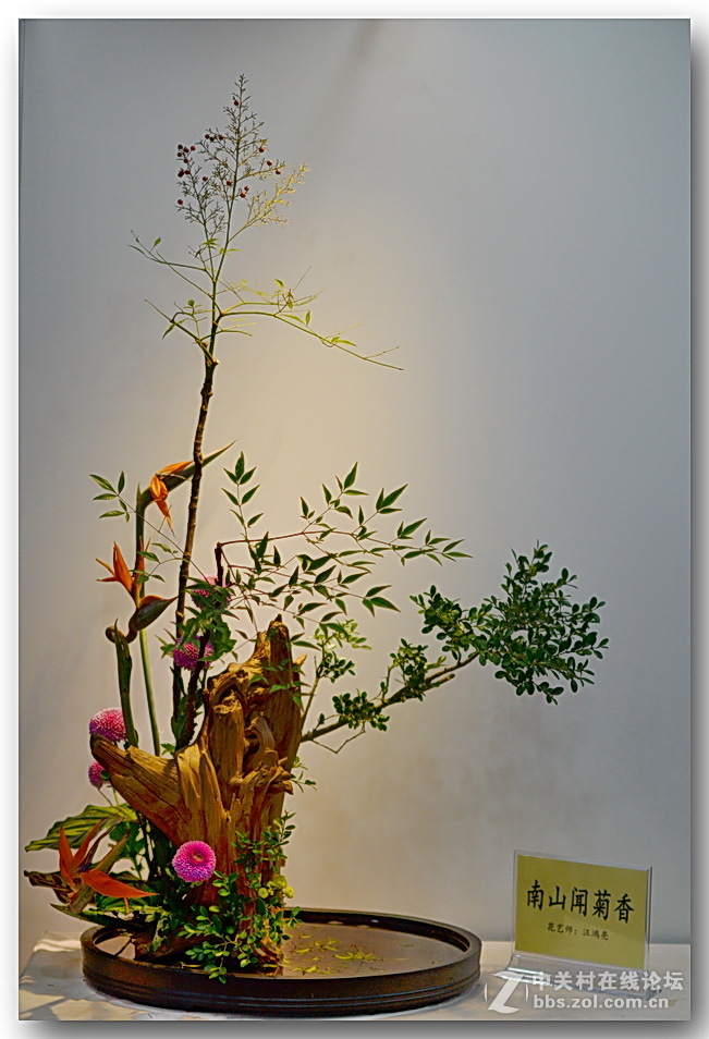 “”菊之韵“”插花艺术展