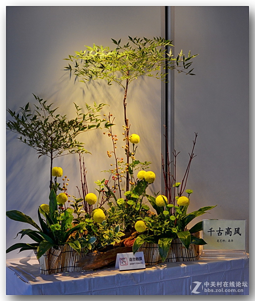 “”菊之韵“”插花艺术展