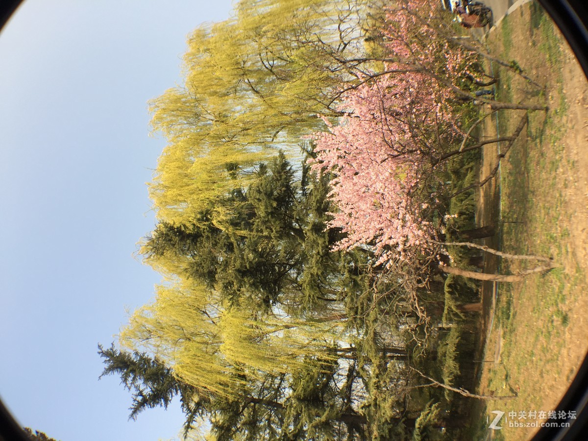 我也来发发iphone 6依然好用