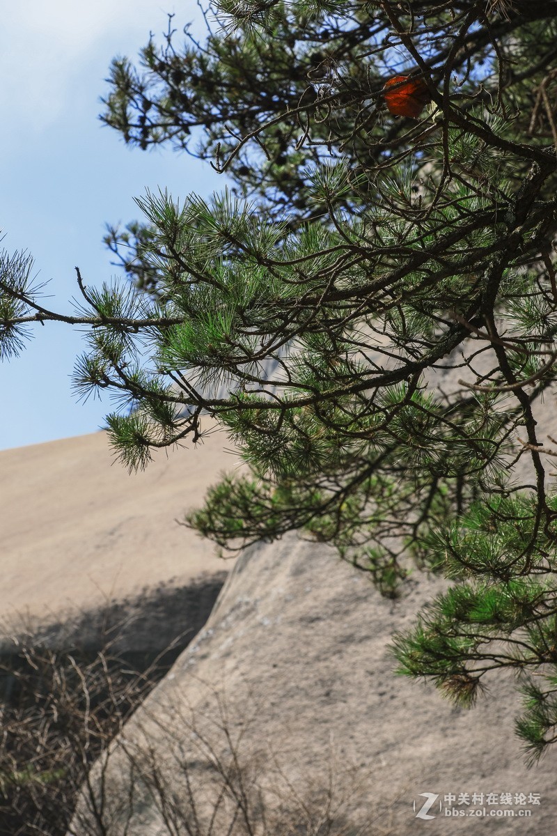 天柱山一随拍。