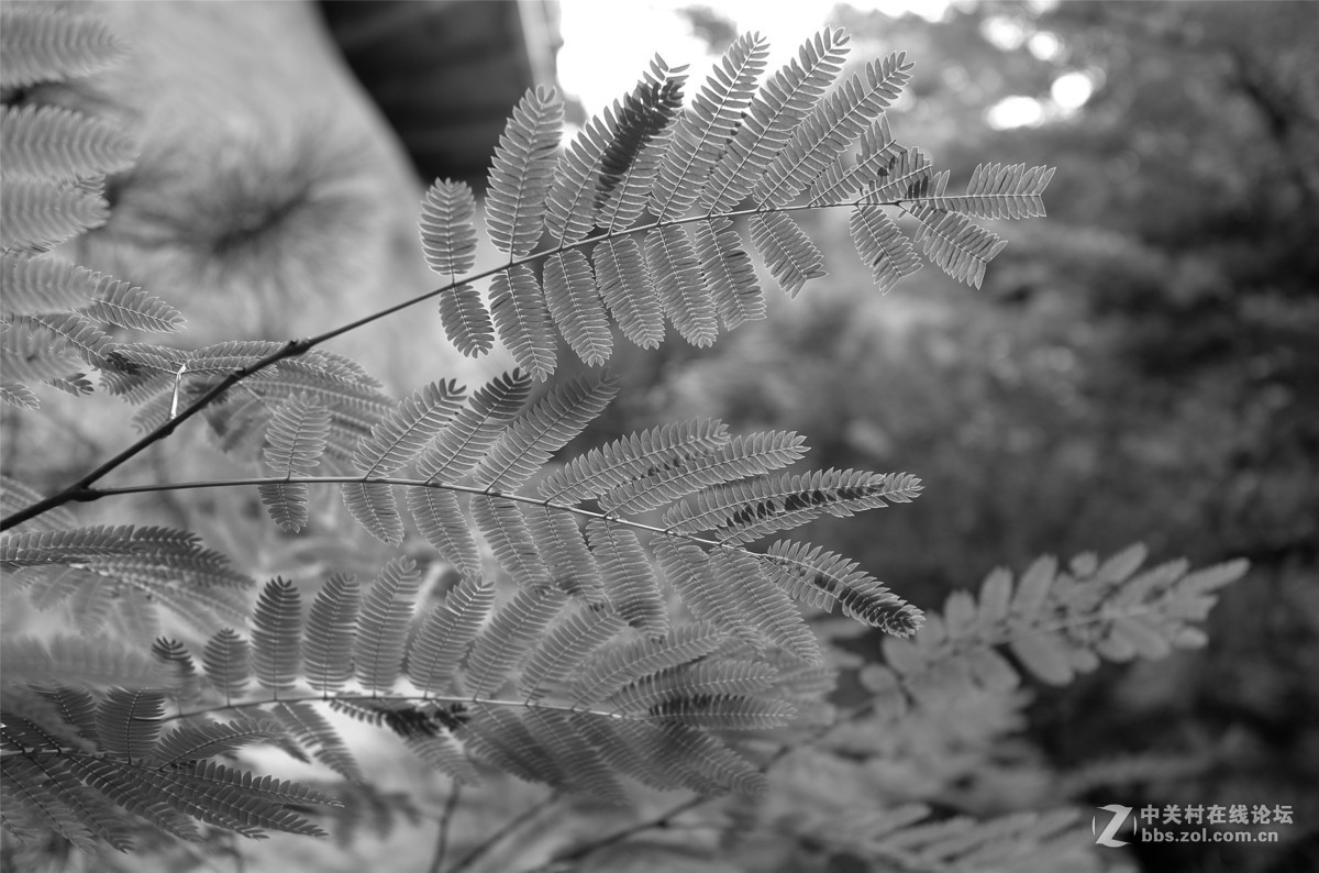 天水麦积山石窟