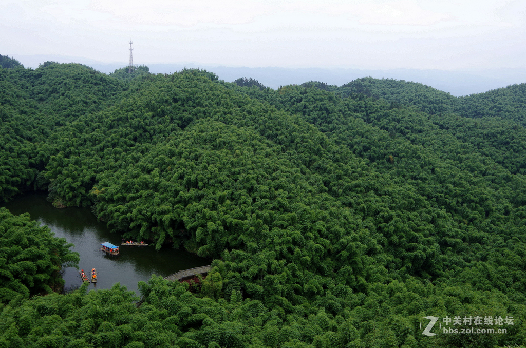 樂山沐川竹海隨拍