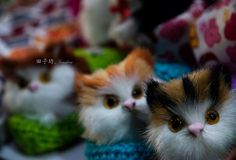 #ZOL月赛-记录最后的2015#【浮光掠影田子坊 】（小品篇）