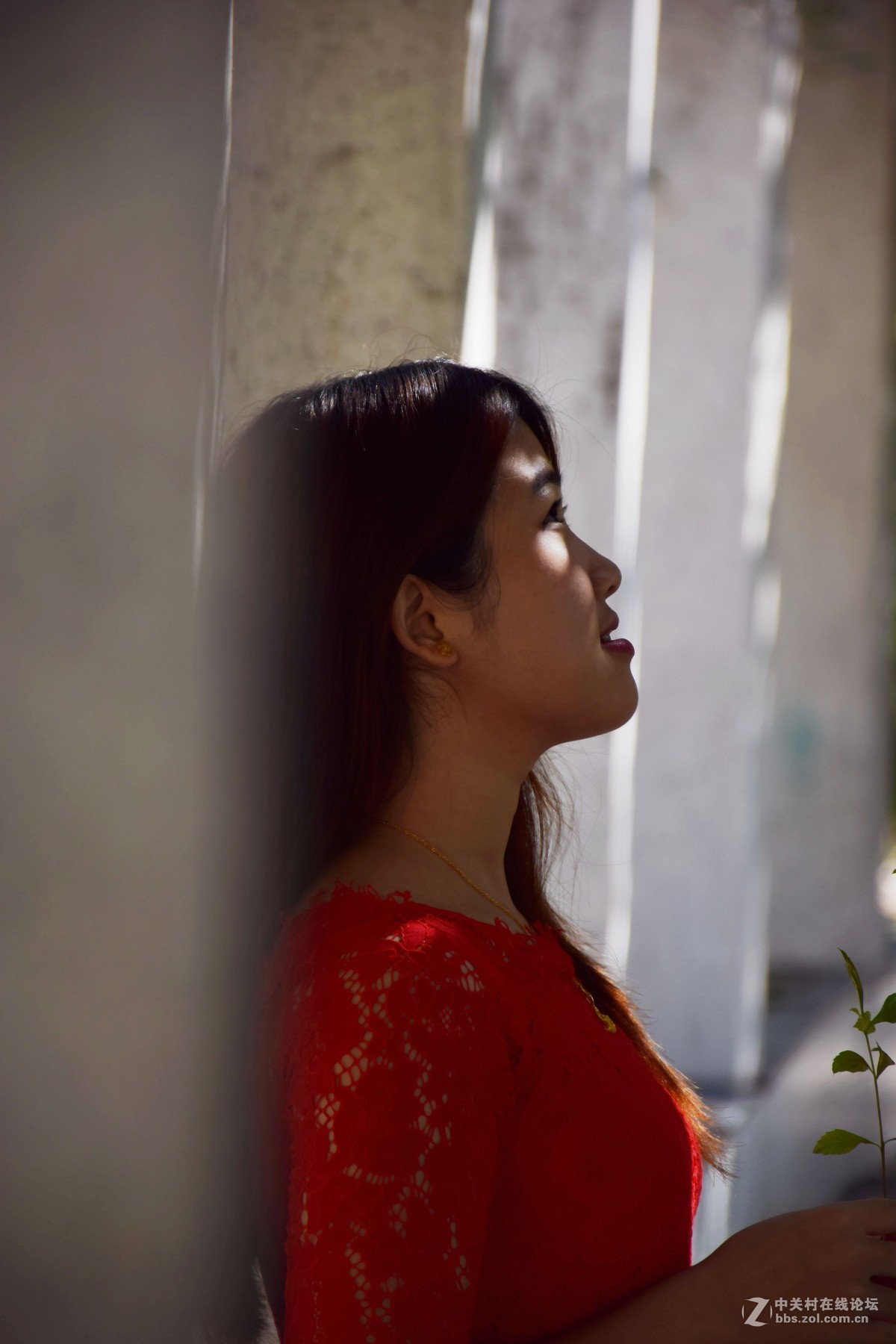 感受这个冬天最后一把暖阳