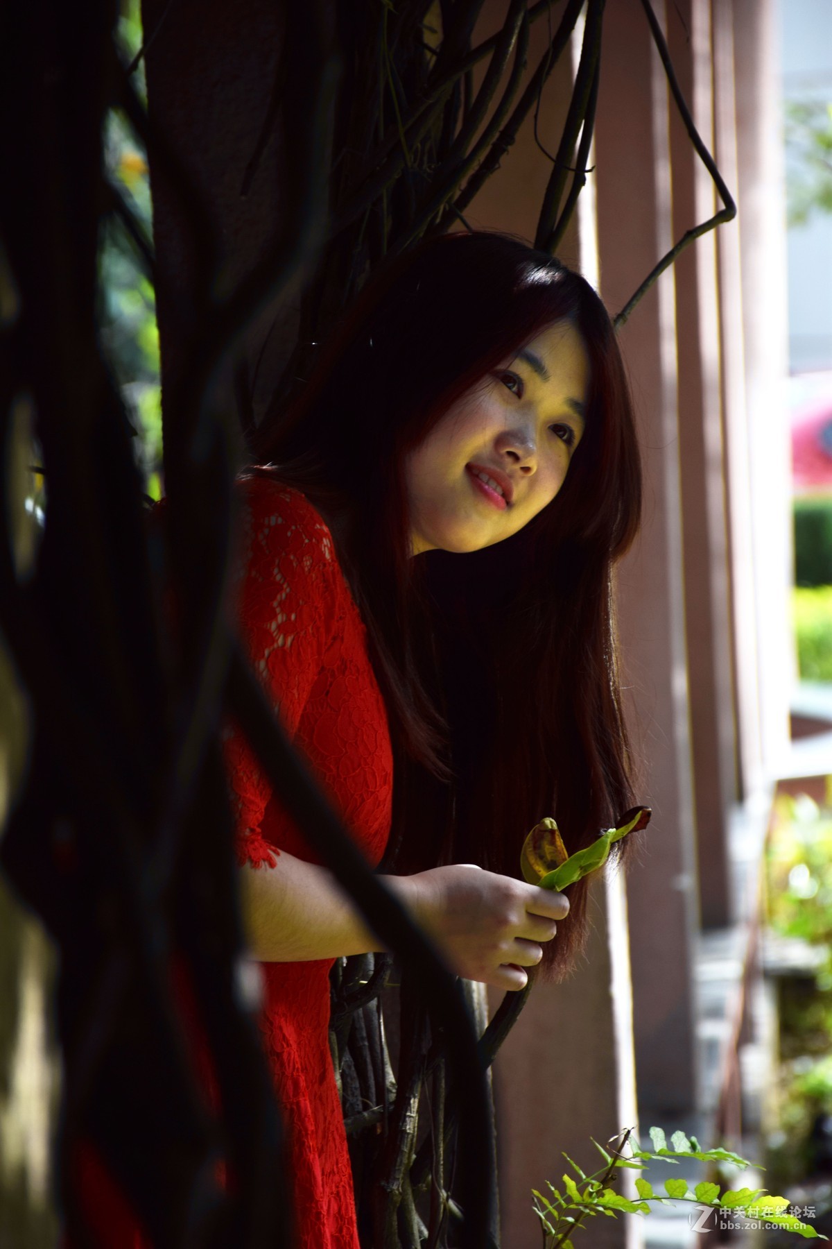 感受这个冬天最后一把暖阳