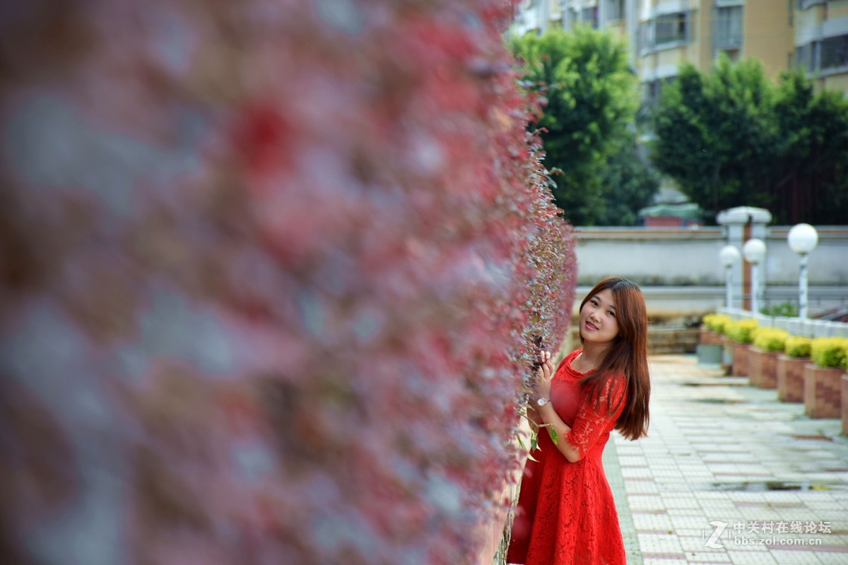 感受这个冬天最后一把暖阳