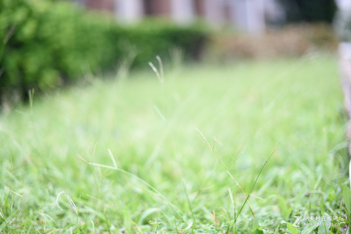 D750 50mm 1.4G不同光线环境直出效果