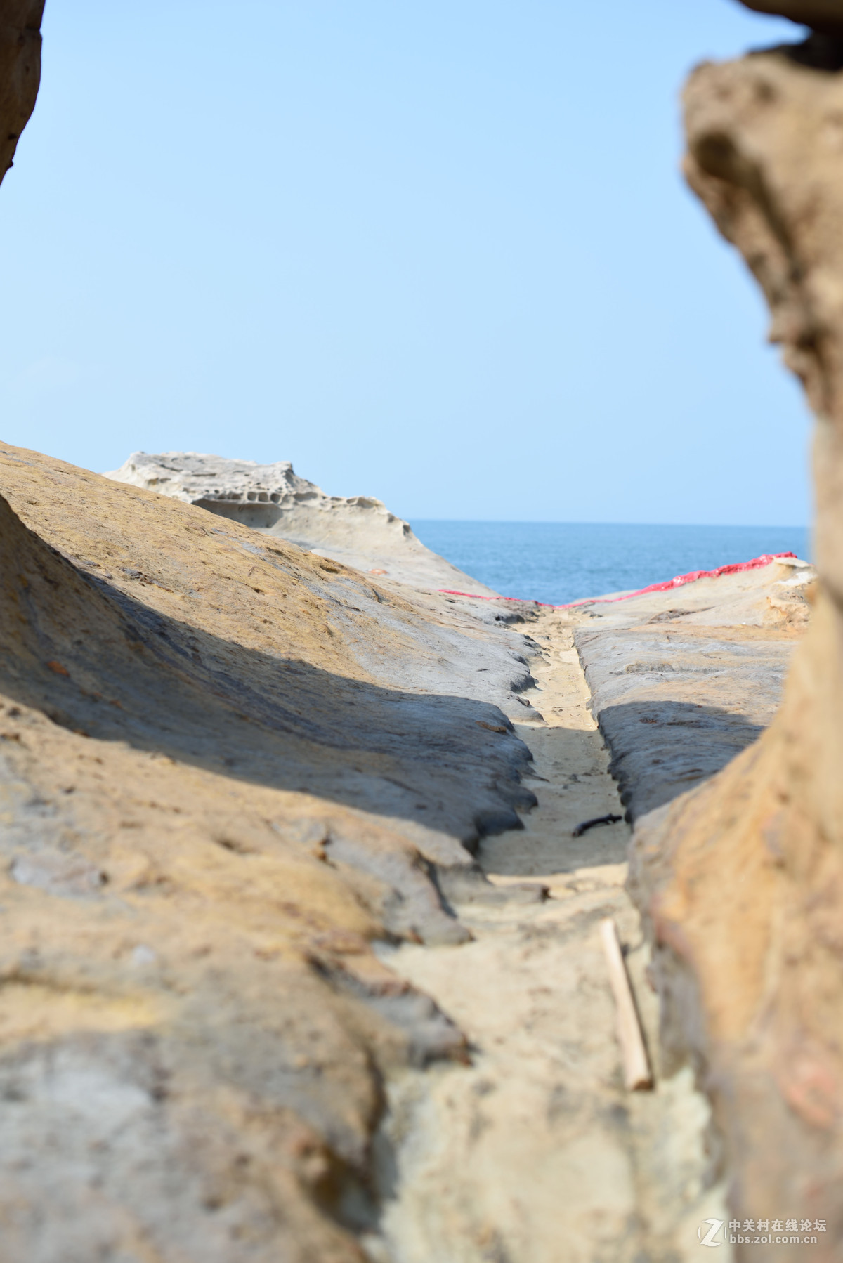 D750 50mm 1.4G不同光线环境直出效果