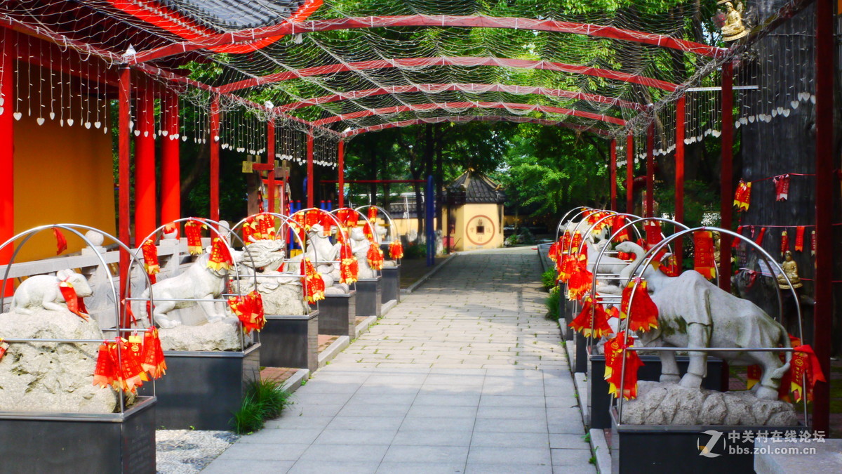 松下GF2第一次试机