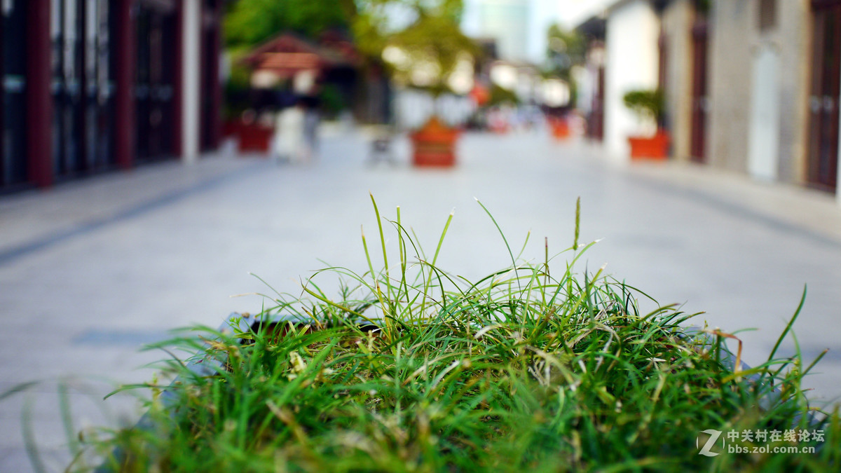 松下GF2第一次试机