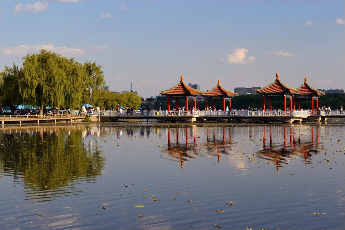 休闲随拍（320）