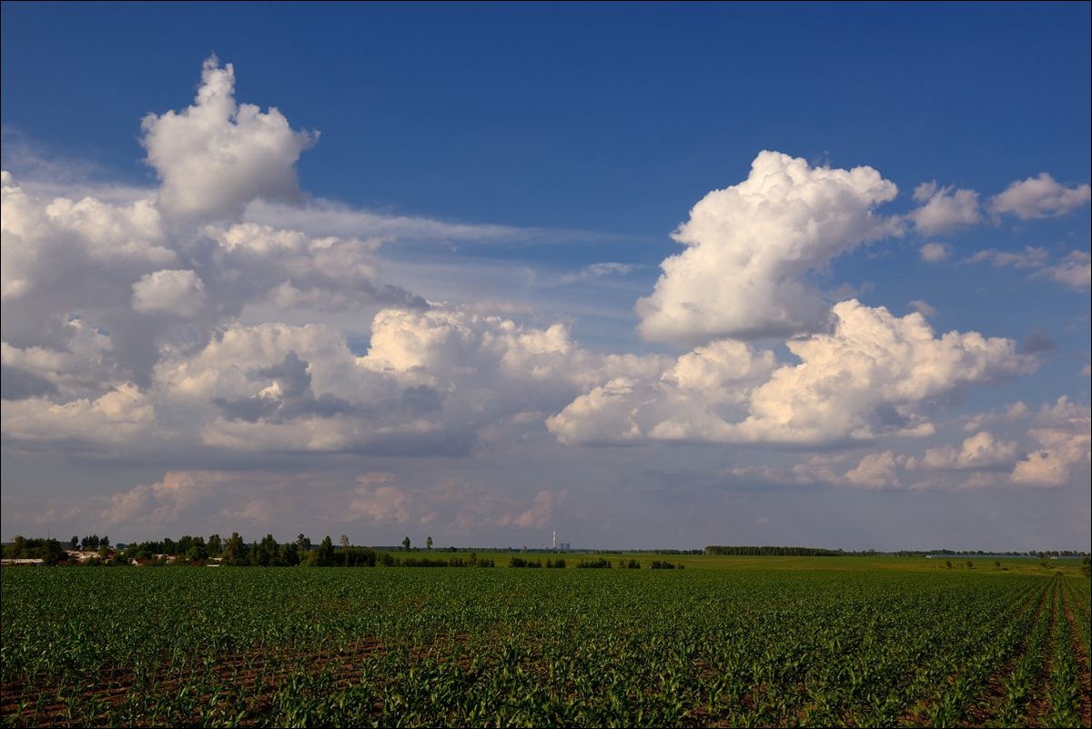 休闲随拍（320）