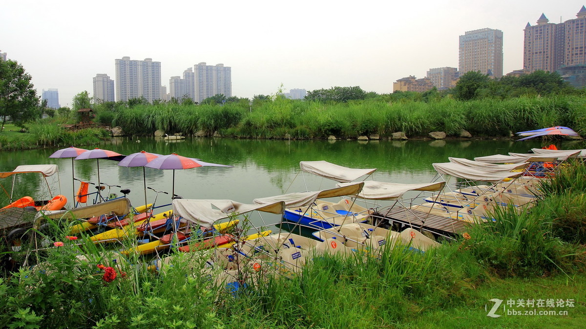 凤凰湖湿地公园