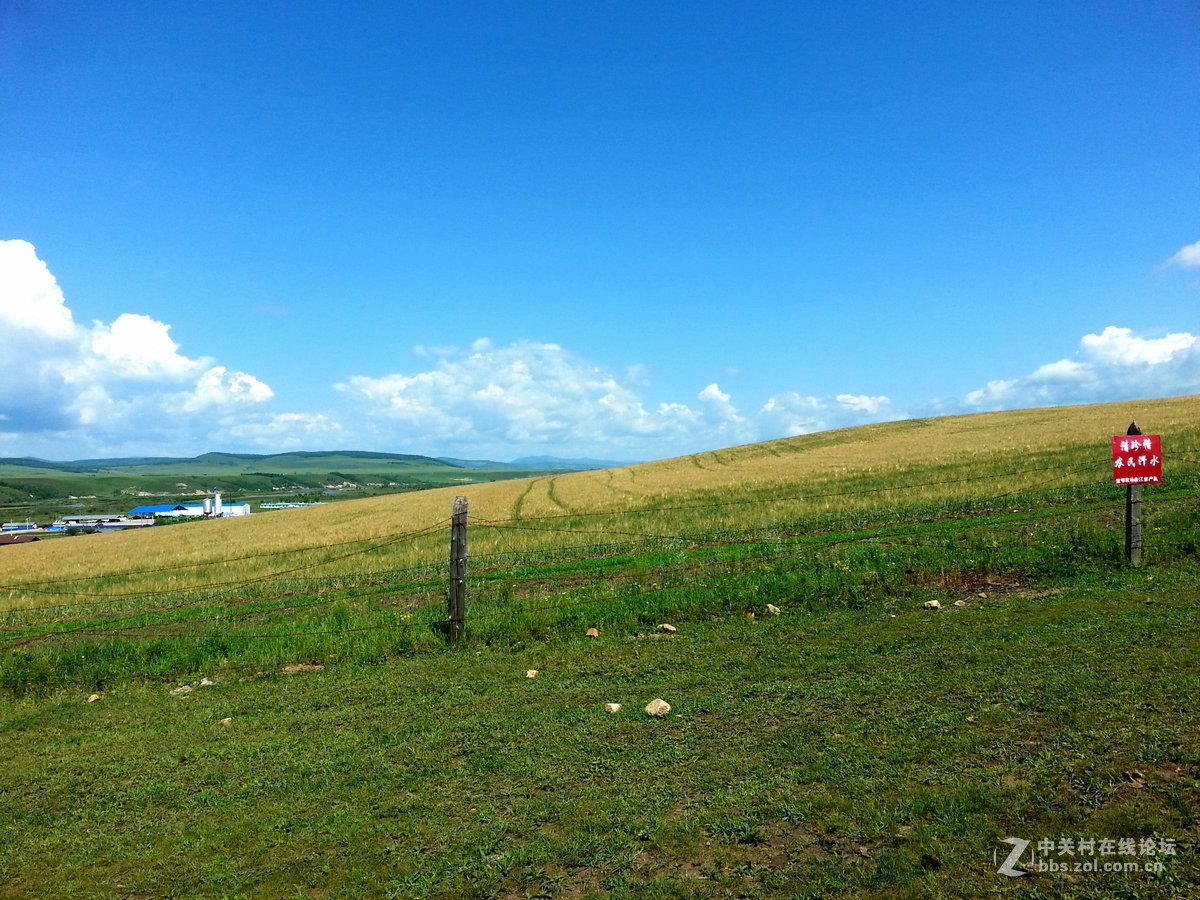 室韦与临江风光