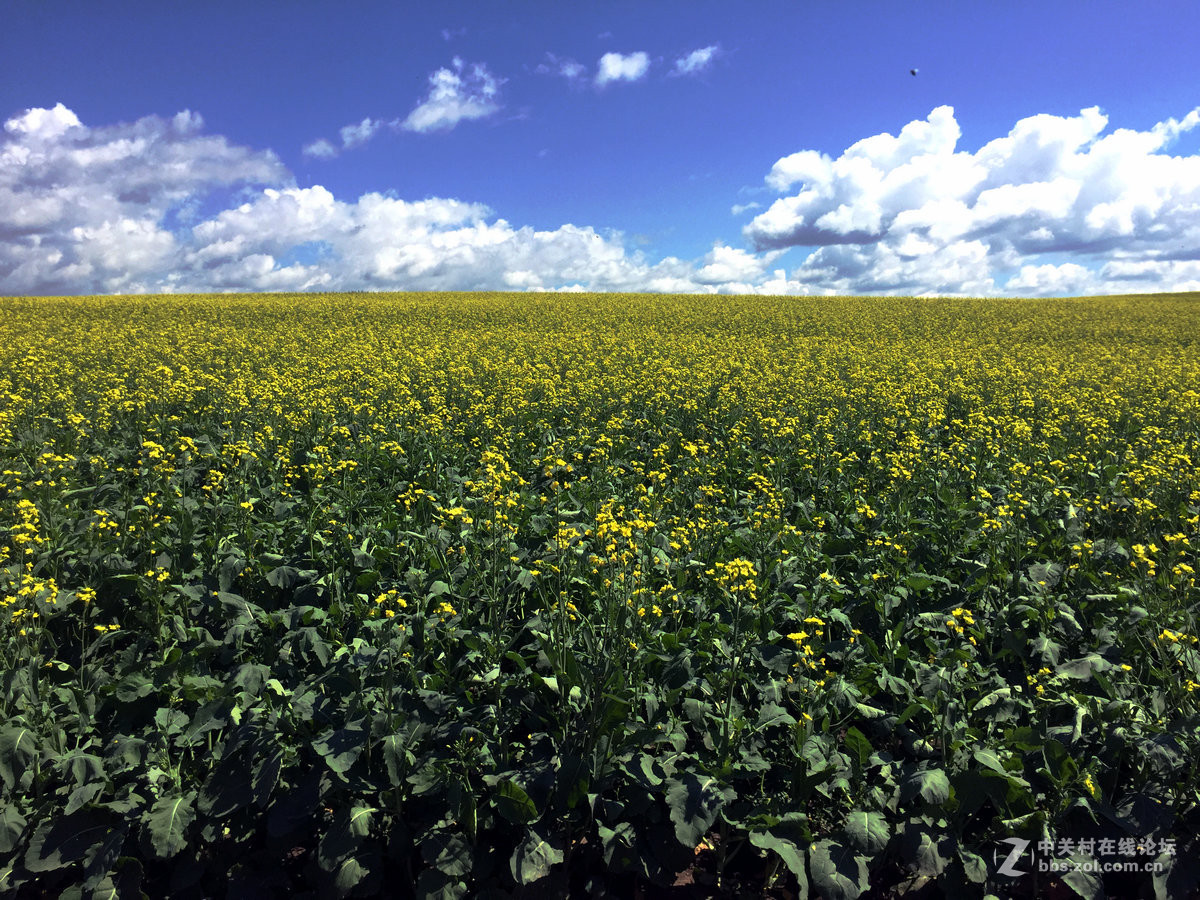 室韦与临江风光