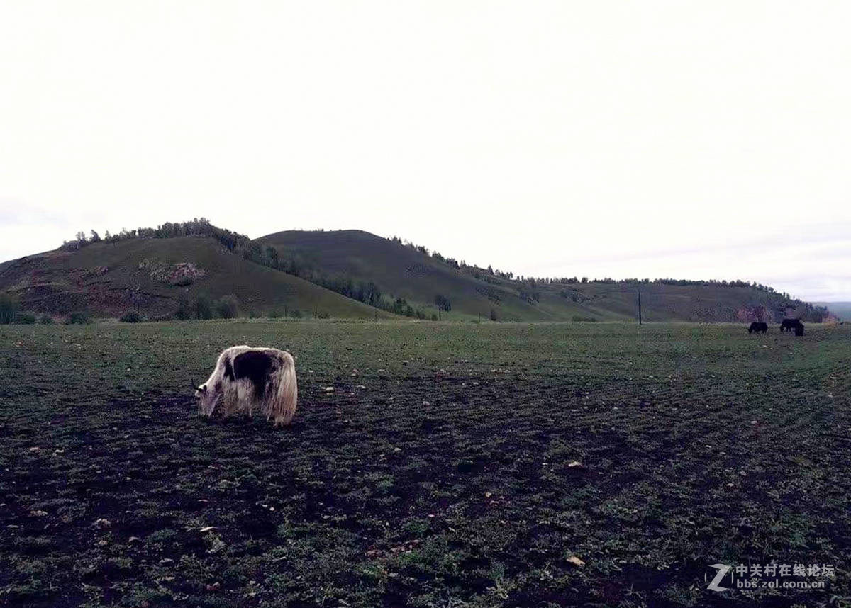 室韦与临江风光