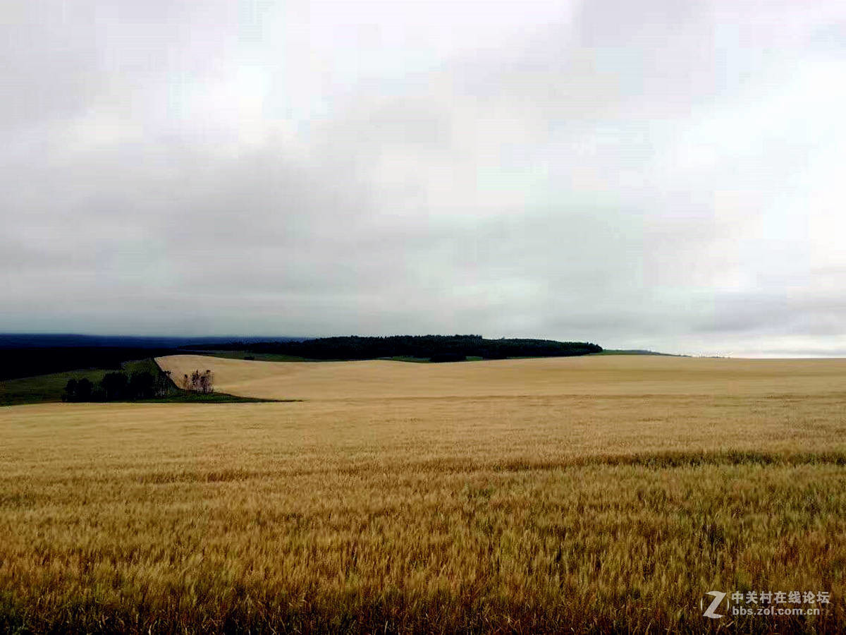 室韦与临江风光