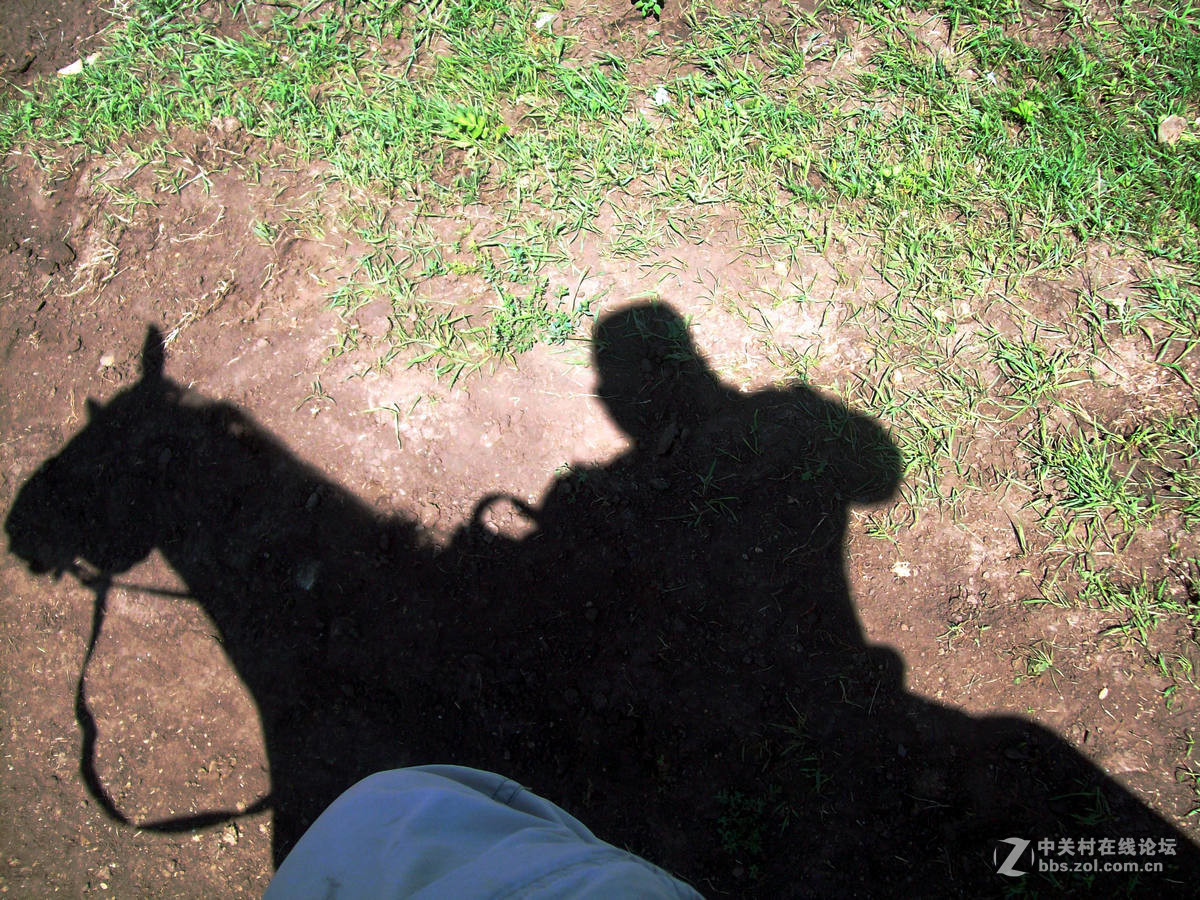 室韦与临江风光