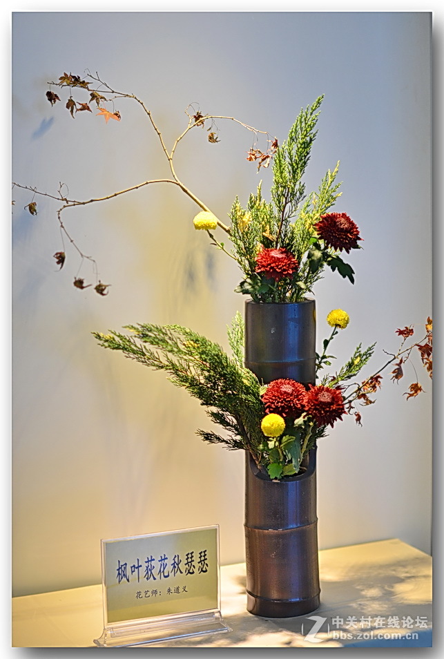 “”菊之韵“”插花艺术展