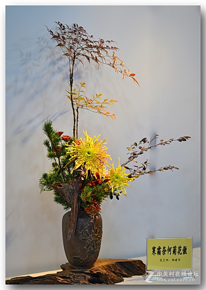 “”菊之韵“”插花艺术展