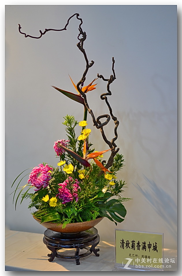 “”菊之韵“”插花艺术展