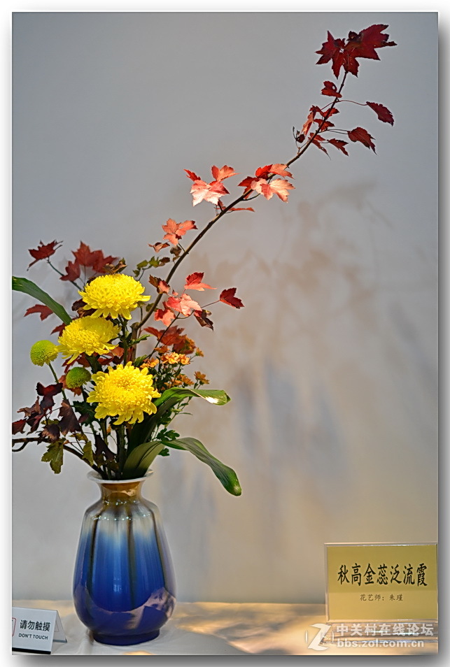 “”菊之韵“”插花艺术展