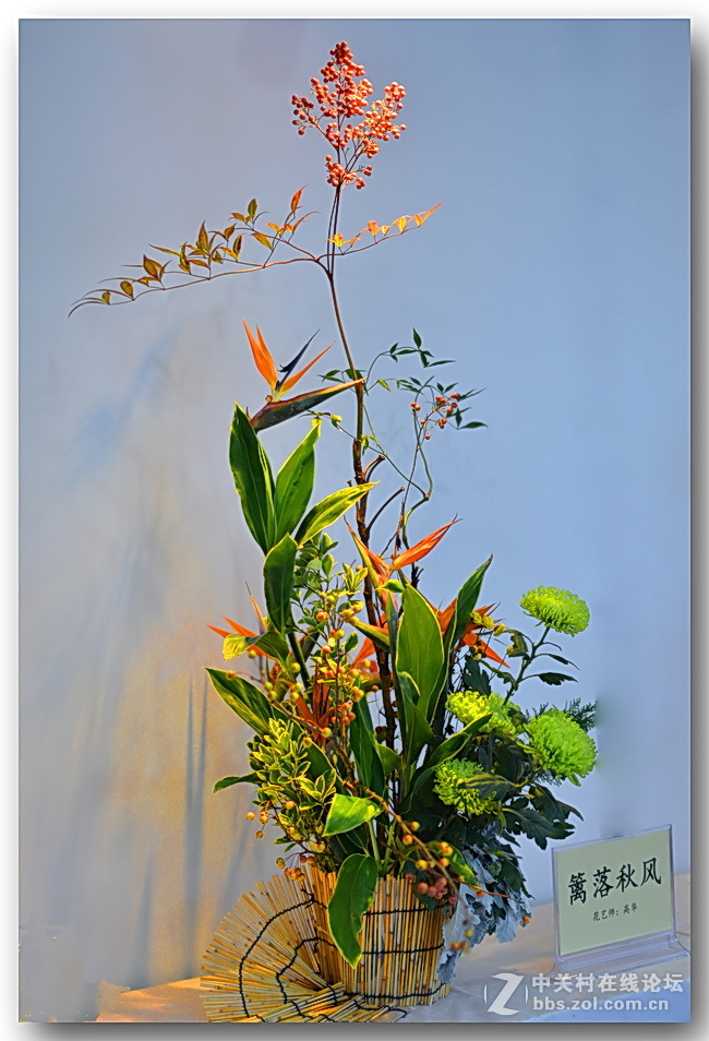 “”菊之韵“”插花艺术展