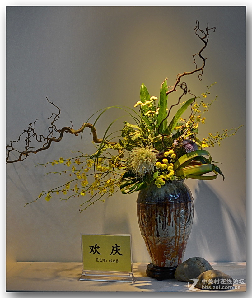 “”菊之韵“”插花艺术展