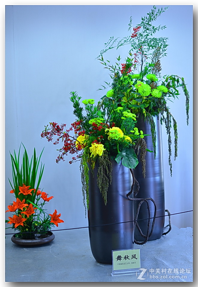 “”菊之韵“”插花艺术展