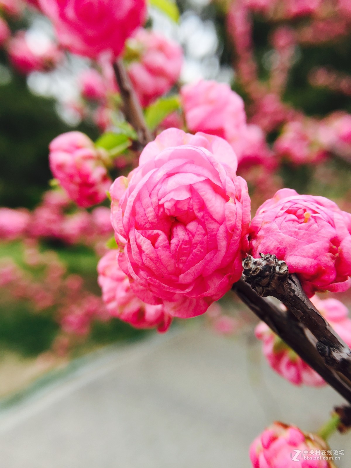 我也来发发iphone 6依然好用