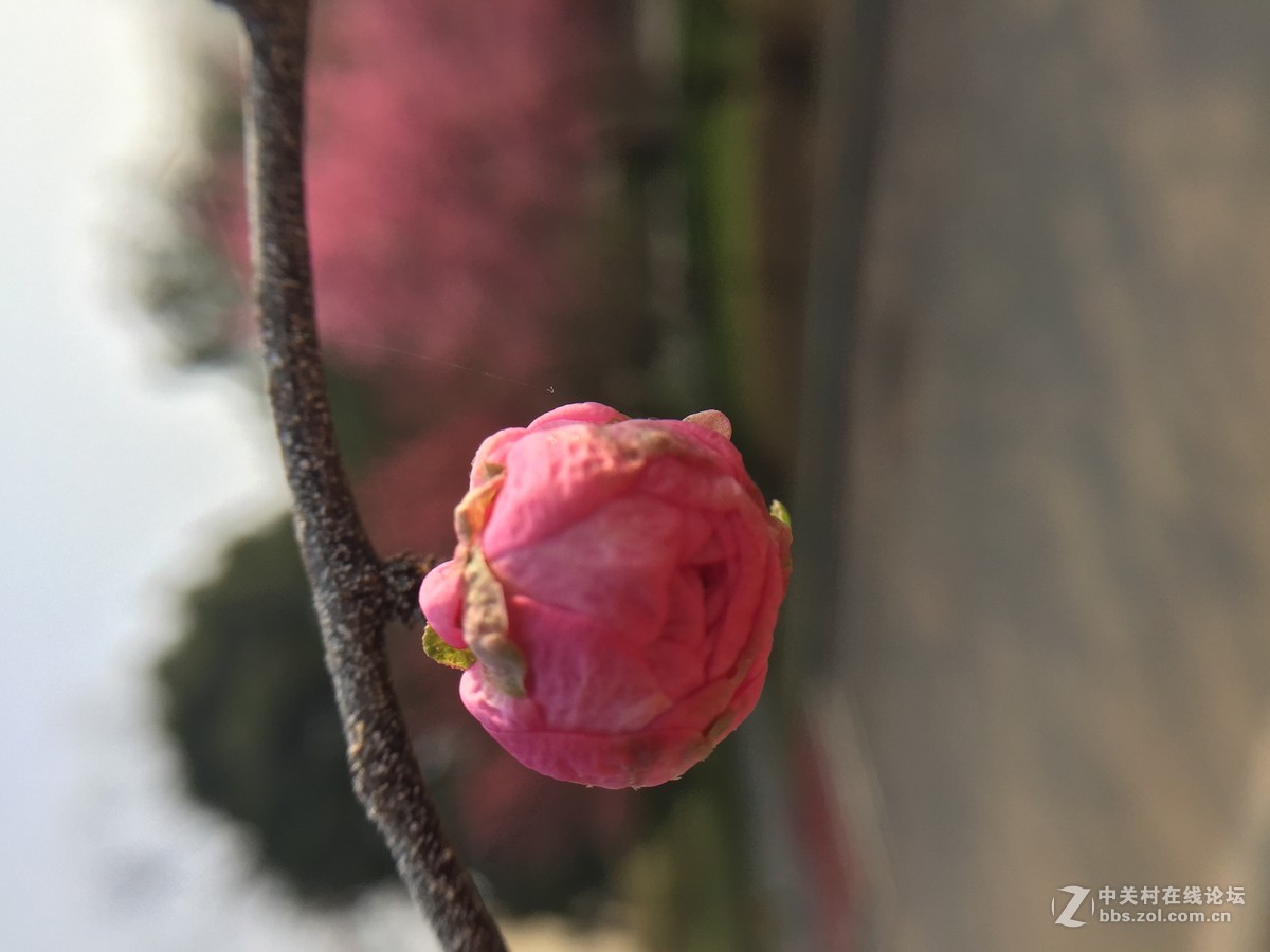 我也来发发iphone 6依然好用