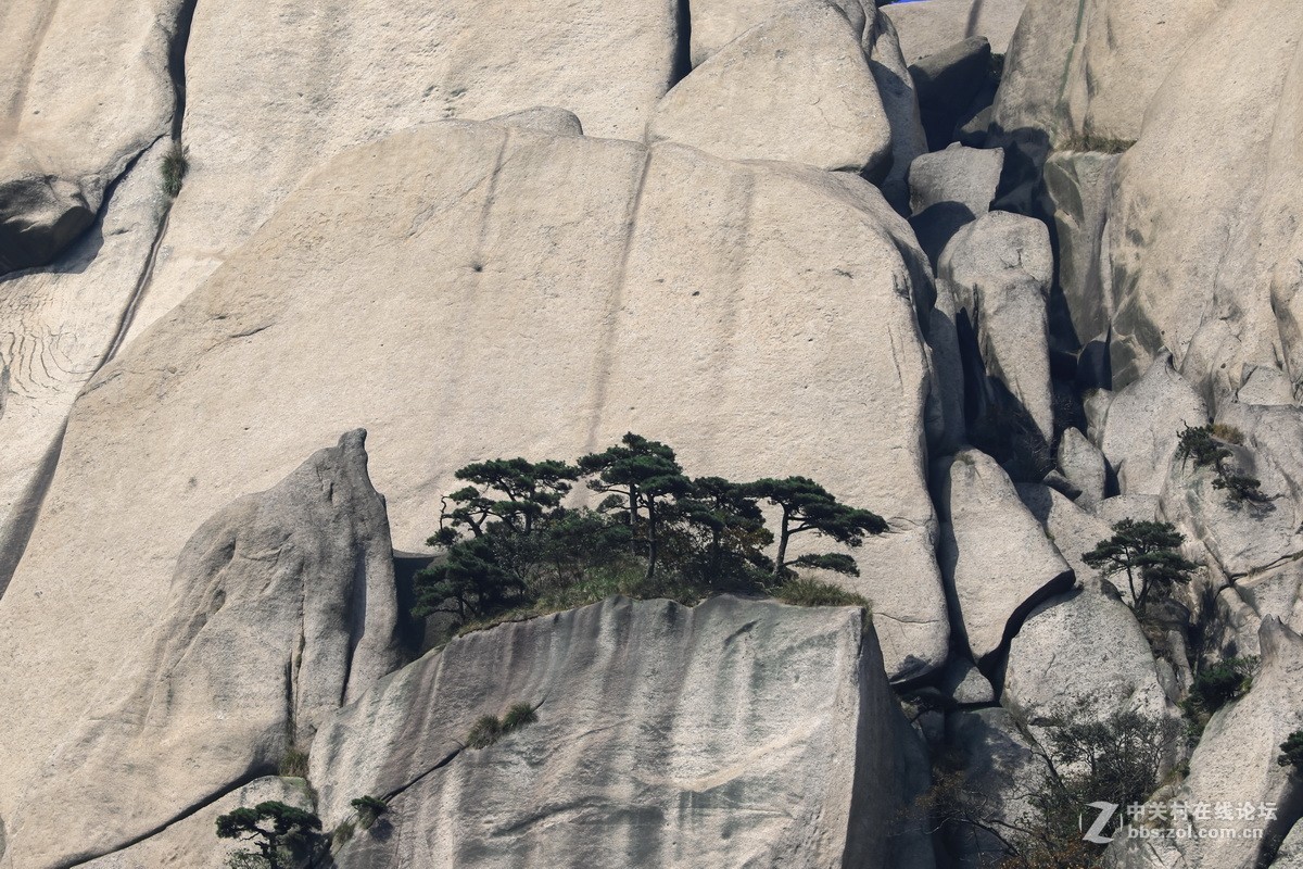 天柱山一随拍。