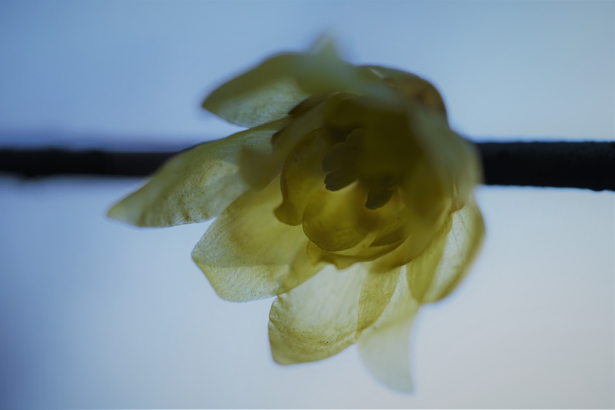 老头儿焕发活力