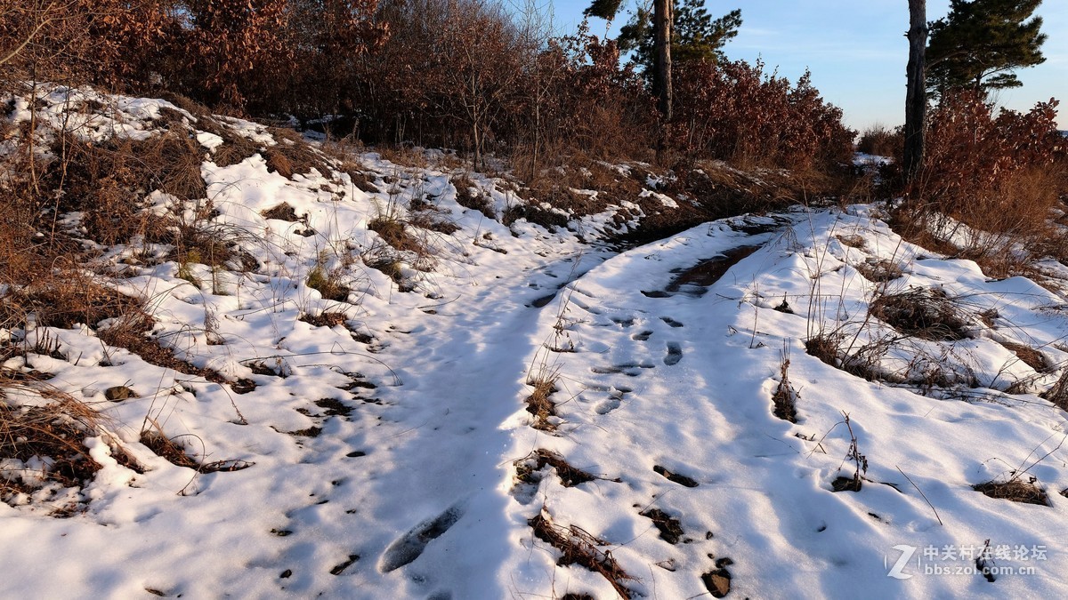 大興安嶺上雪景風光