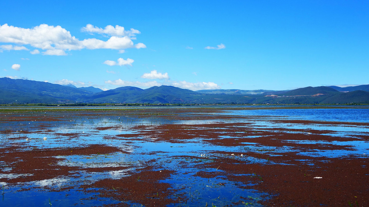 云南拉市海风光 1