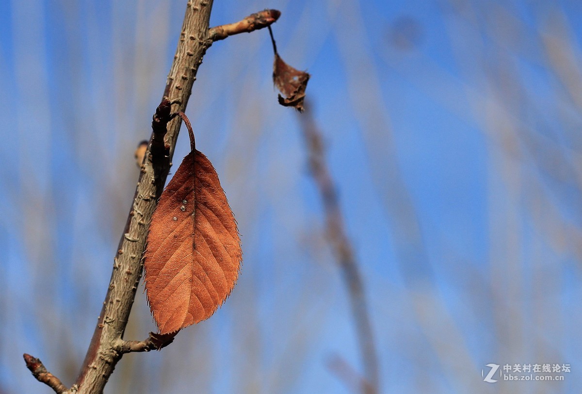 新手瞎拍，欢迎拍砖