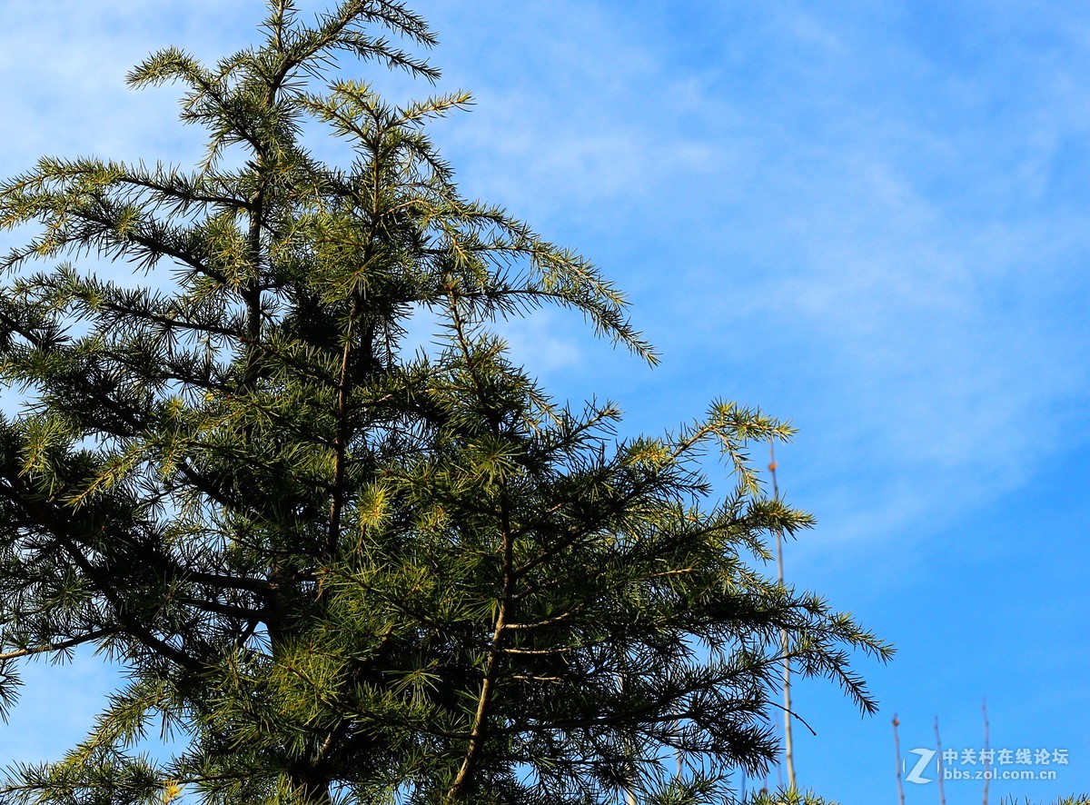 新手瞎拍，欢迎拍砖