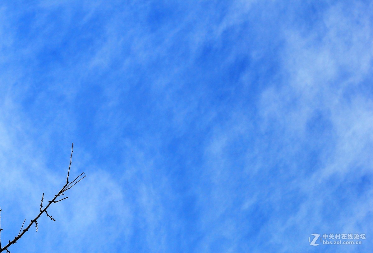 新手瞎拍，欢迎拍砖