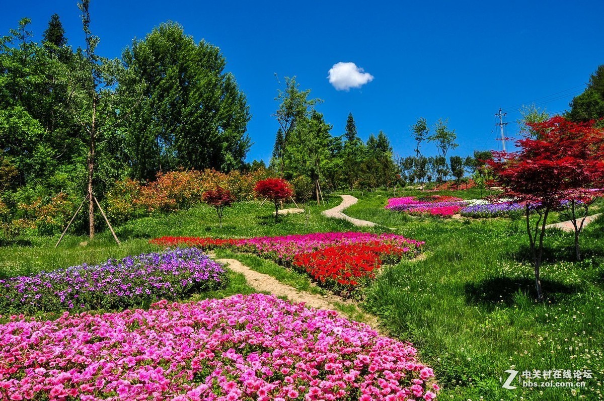 #版主坐堂#小五星空(中国)2017年7月精品荟萃