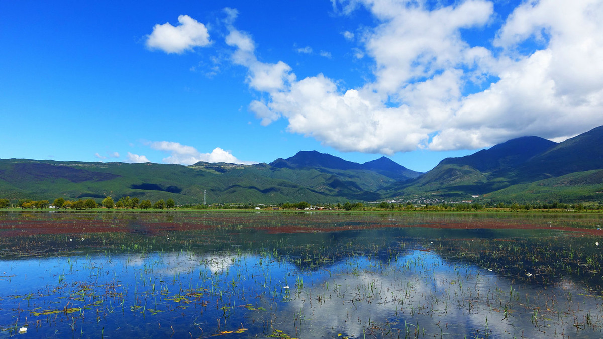 云南拉市海风光 1